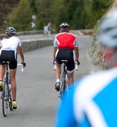 Gruppi e associazioni sportive